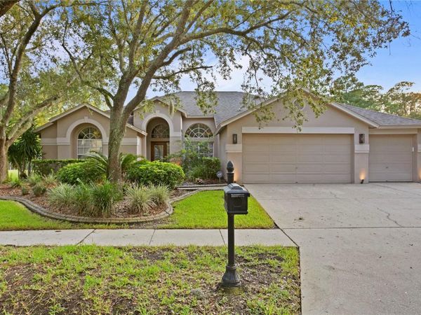 10750 AYSHIRE DRIVE, TAMPA, FL 33626