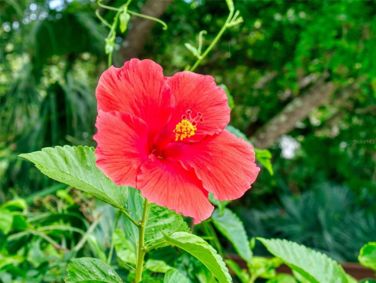 4150 S Atlantic Avenue, Unit 107C, New Smyrna Beach, FL 32169 Photo