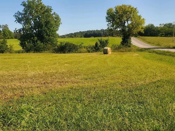 000 S Highway H, Pleasant Hope, MO 65725