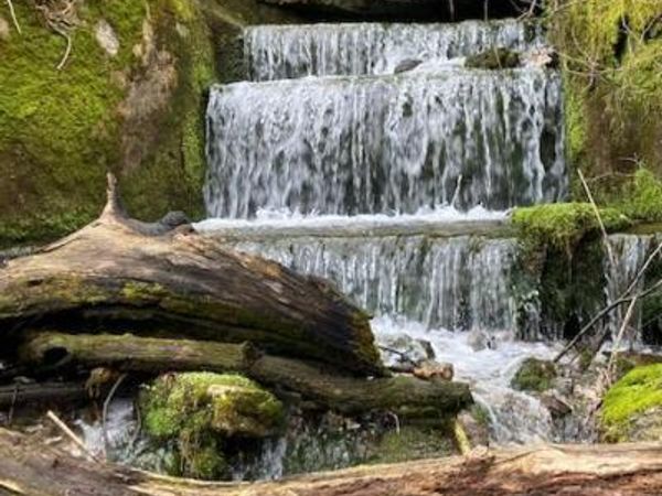 000 Rodeo Lane, Crane, MO 65633