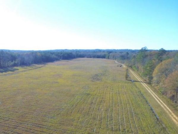 00 Palmer Rd, Ellisville, MS 39437