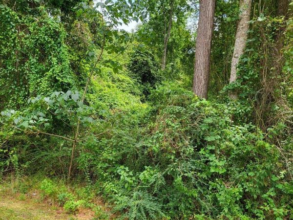 Lot 70 Lakeside Drive, Carriere, MS 39426