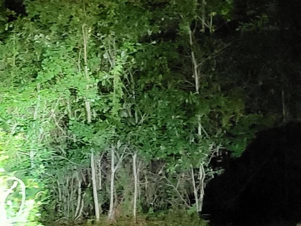 Lot of 3 Satcher Drive, Picayune, MS 39466