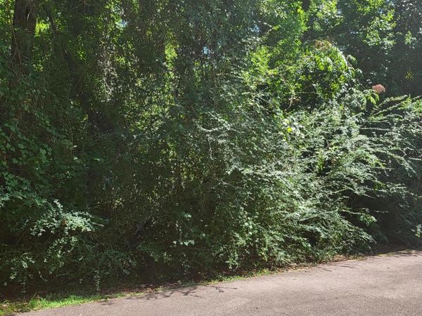 Lot #1047 Edgewood Cir., Carriere, MS 39426