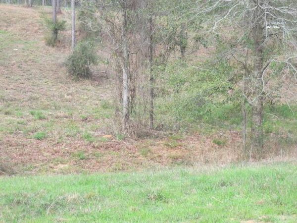 11 Josie Drive, Ellisville, MS 39437