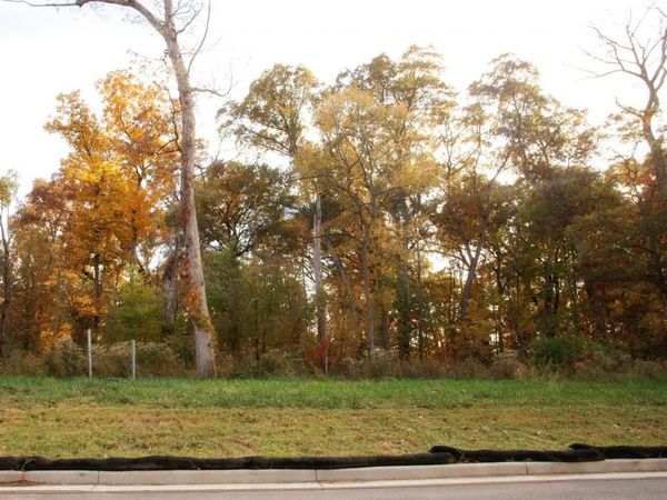 3975-lot 88 166th Lane, Lowell, IN 46356