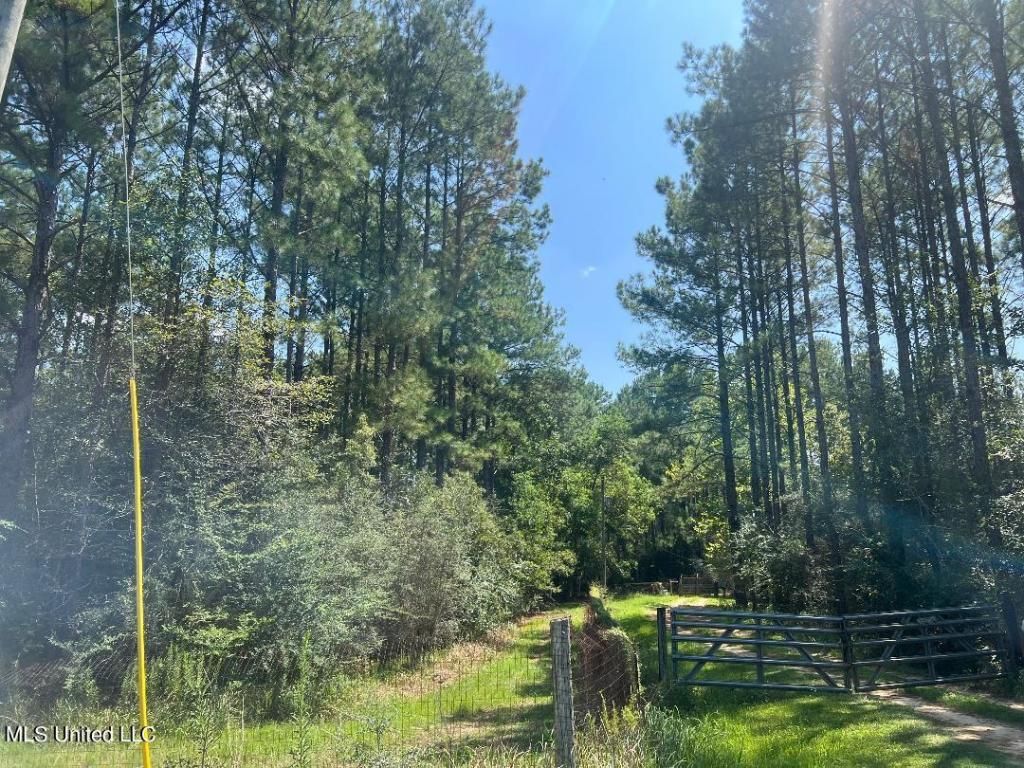 Nhn Old Biloxi Rd, Ocean Springs, MS 39565 Main Photo