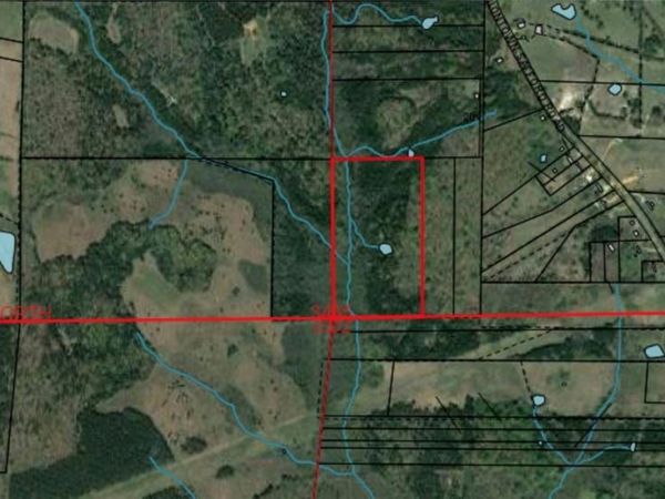 0002 County 1 Road, Uniontown, AL 36786