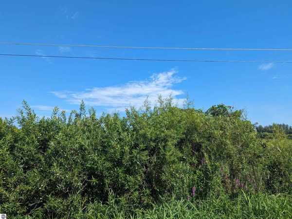 Court Street S, Au Gres, MI 48703