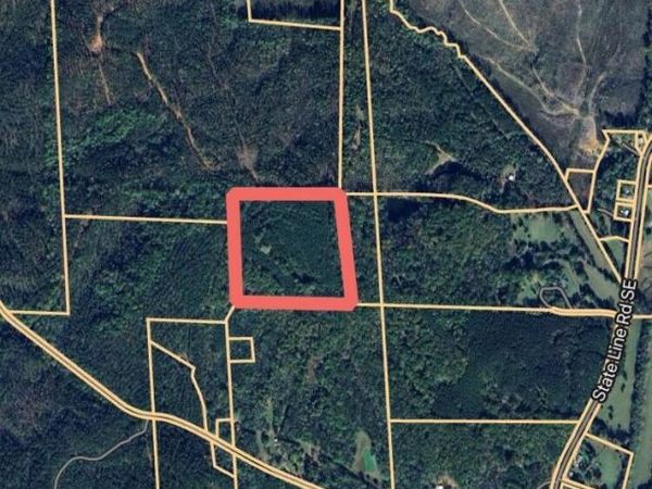20 ac State Line Road SE, Tremont, MS 38876