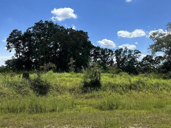 0 Hampton Road, Mobile, AL 36608