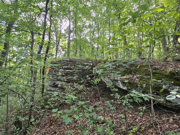 0 60th Ave S, Gruetli Laager, TN 37339