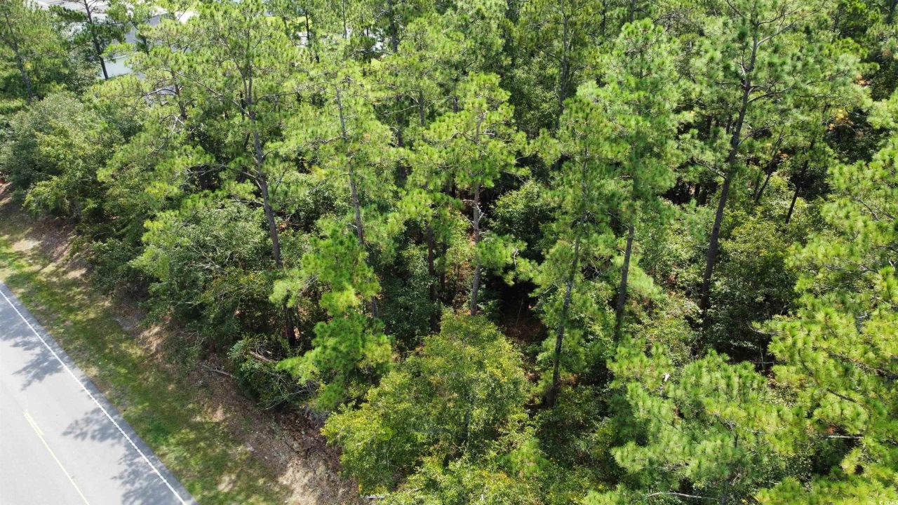 Tbd Highway 905 Photo 2