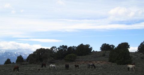 00430124 Mount Davidson, Virginia City, NV 89440 Photo