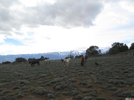 00430124 Mount Davidson, Virginia City, NV 89440 Photo