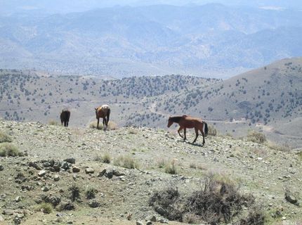 00430124 Mount Davidson, Virginia City, NV 89440 Photo