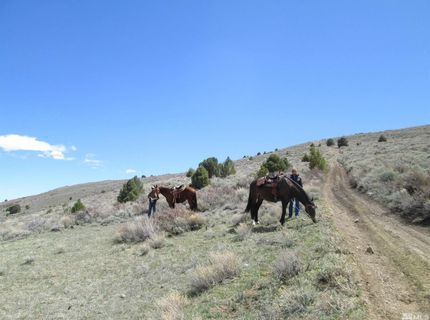 00430124 Mount Davidson, Virginia City, NV 89440 Photo
