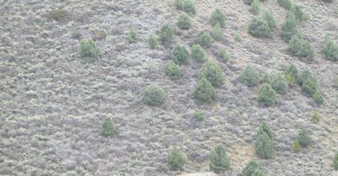00430124 Mount Davidson, Virginia City, NV 89440 Photo