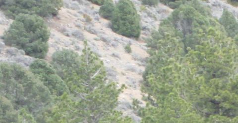 00430124 Mount Davidson, Virginia City, NV 89440 Photo