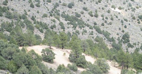 00430124 Mount Davidson, Virginia City, NV 89440 Photo
