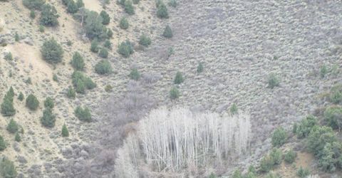 00430124 Mount Davidson, Virginia City, NV 89440 Photo