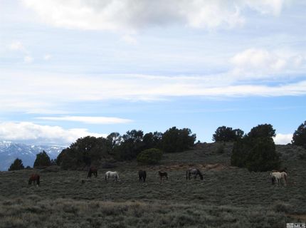 00430125 Mt Davidson, Virginia City, NV 89440 Photo