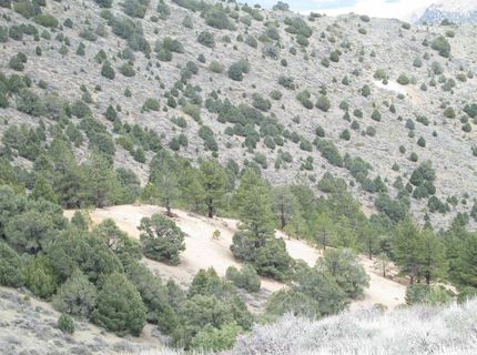 00430125 Mt Davidson, Virginia City, NV 89440 Photo