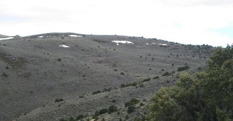 00430125 Mt Davidson, Virginia City, NV 89440 Photo