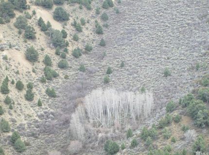 00430125 Mt Davidson, Virginia City, NV 89440 Photo