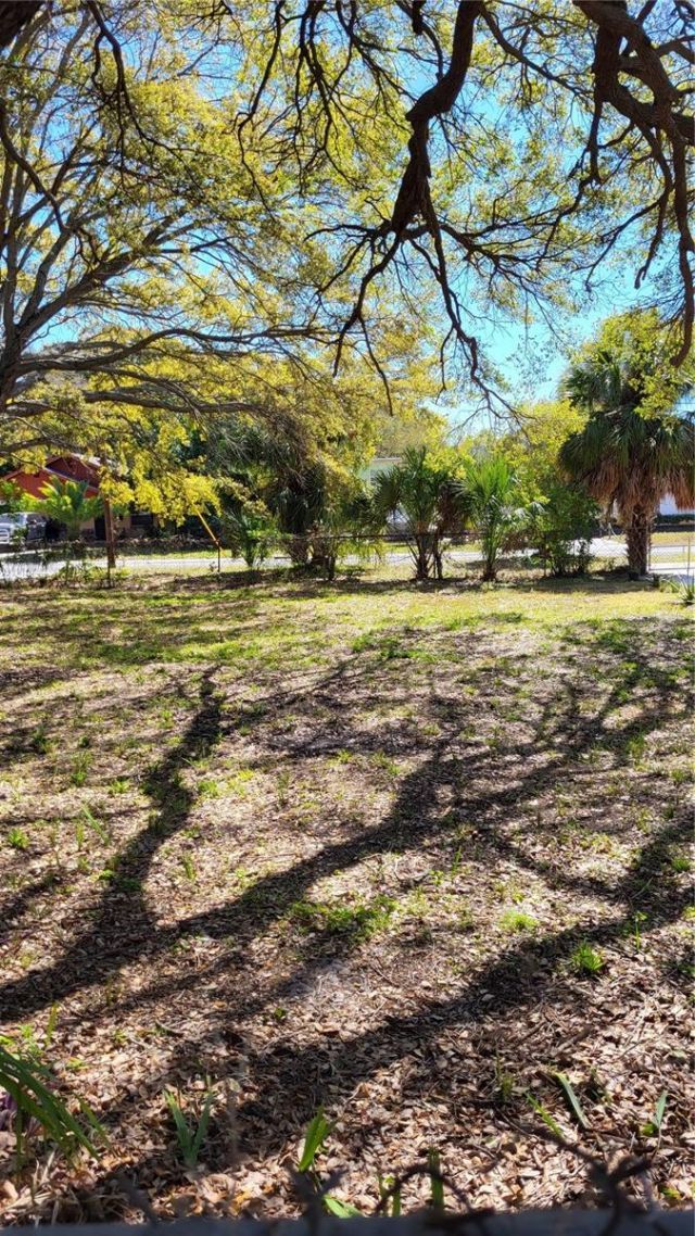 31st Street S, Saint Petersburg, FL 33712 Photo