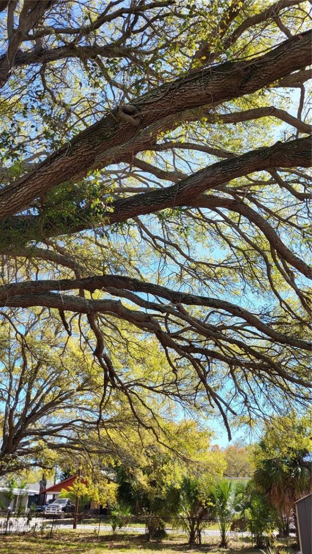 31st Street S, Saint Petersburg, FL 33712 Photo