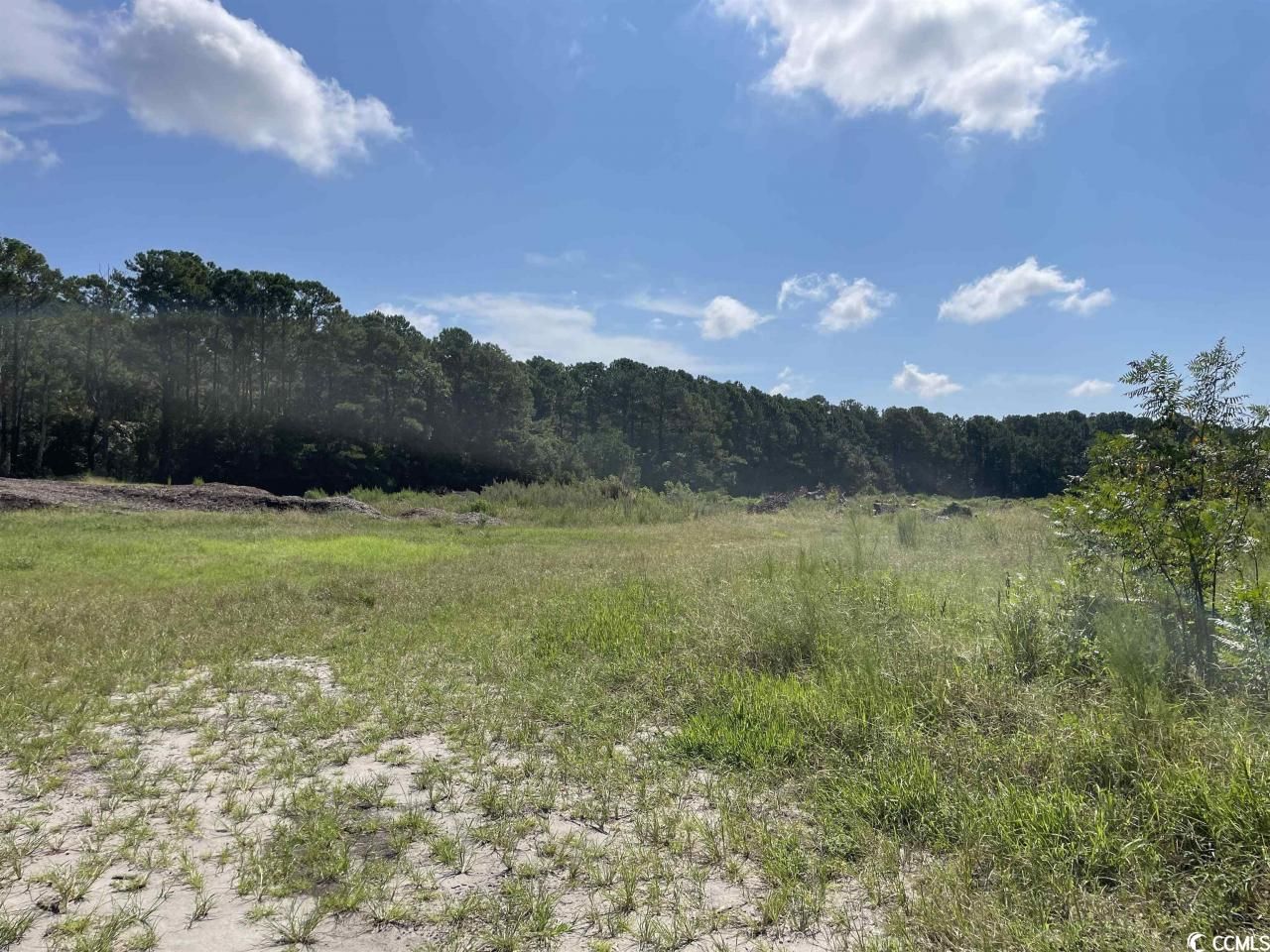 2801 Little River Neck Rd. Photo 13