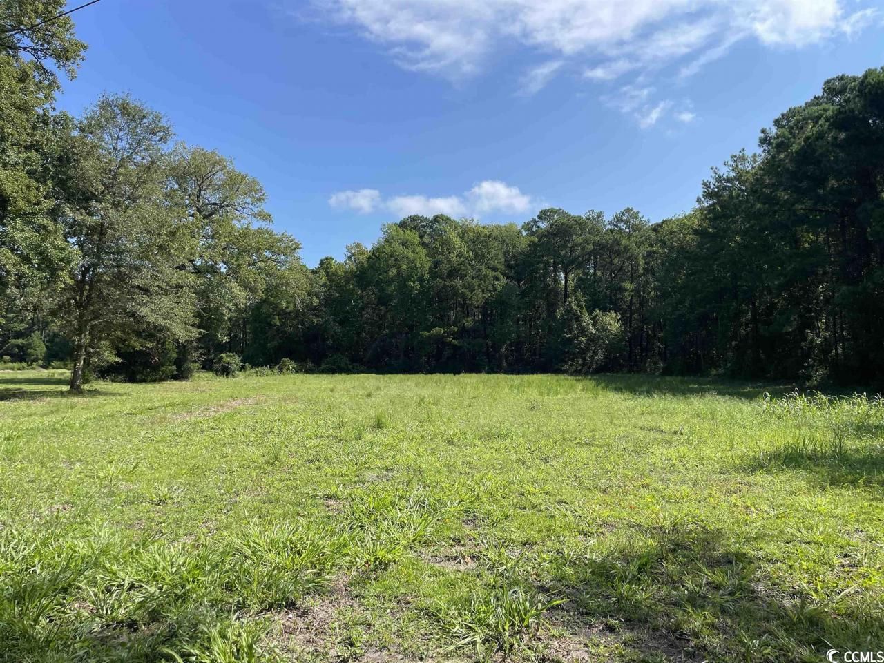 2801 Little River Neck Rd. Photo 25