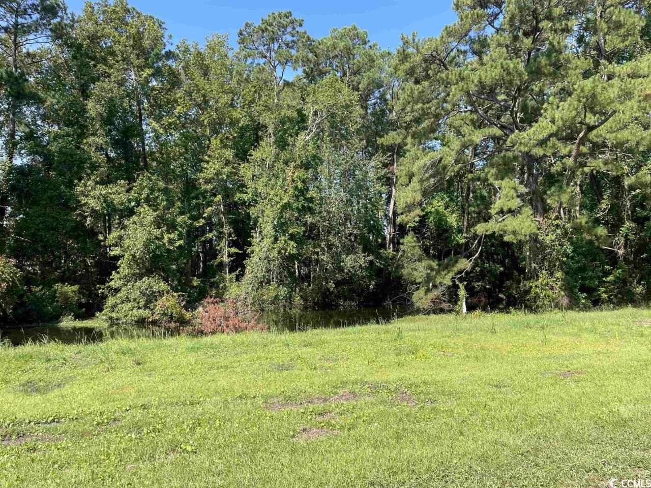 2801 Little River Neck Rd. Photo 27