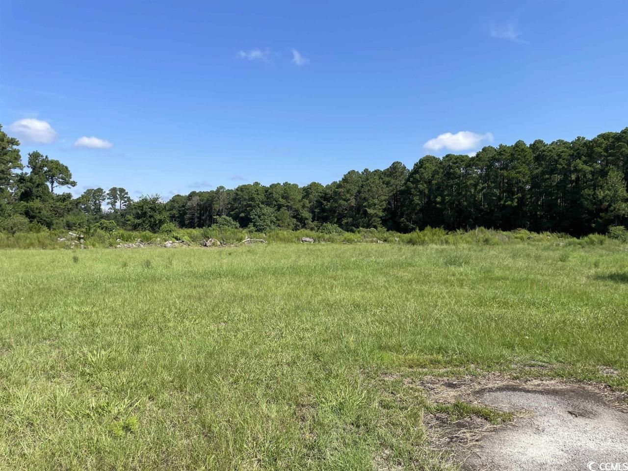 2801 Little River Neck Rd. Photo 28