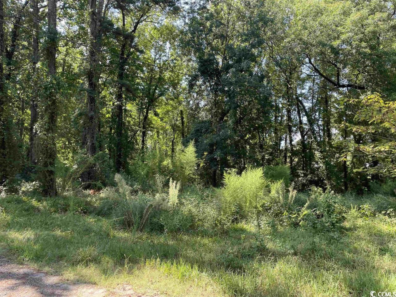 2801 Little River Neck Rd. Photo 29