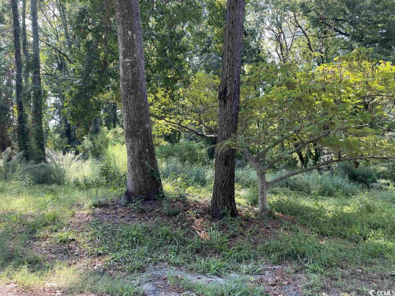 2801 Little River Neck Rd. Photo 31