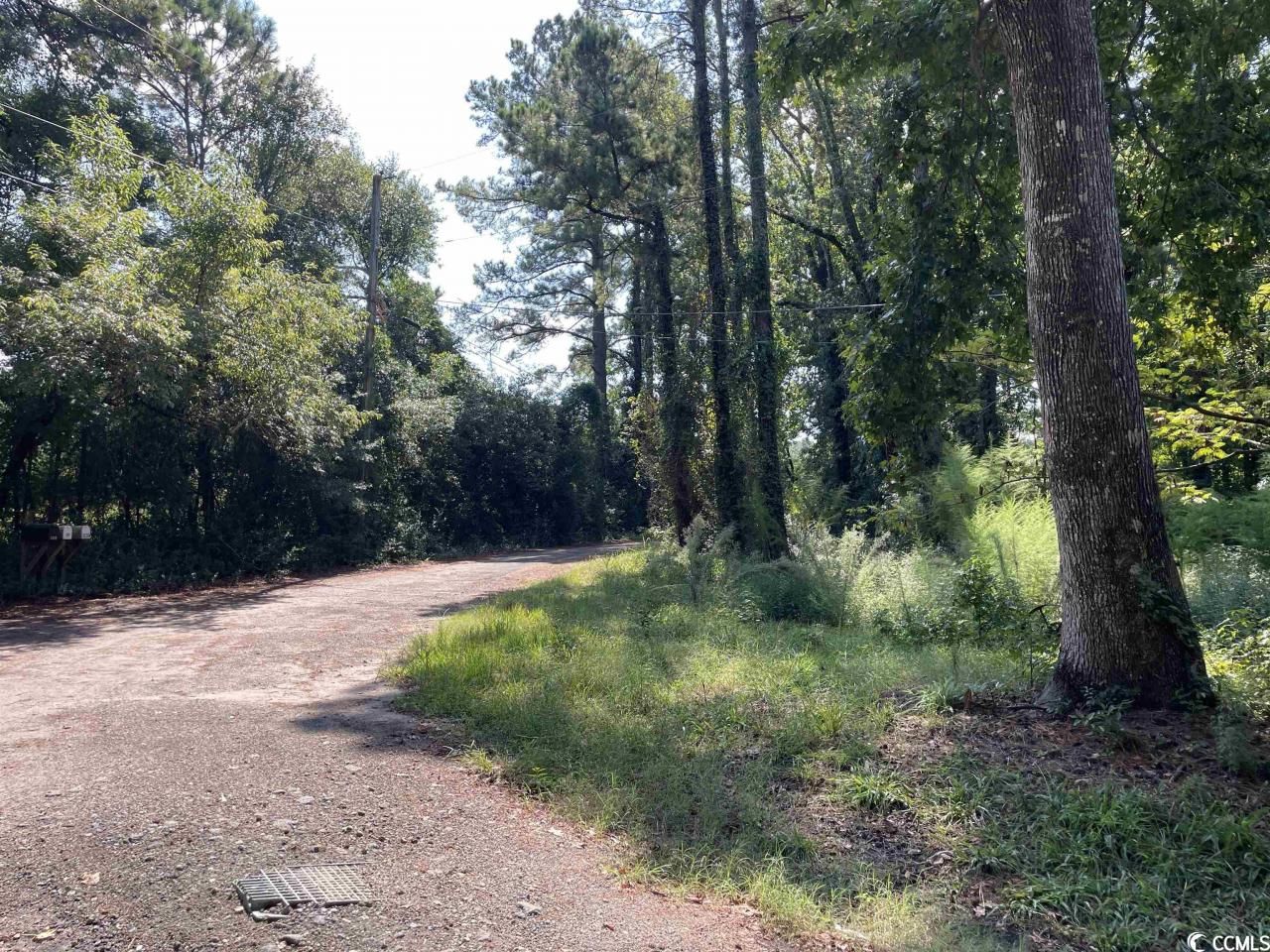 2801 Little River Neck Rd. Photo 32