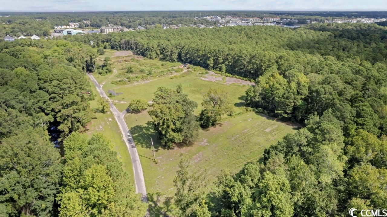 2801 Little River Neck Rd. Photo 5