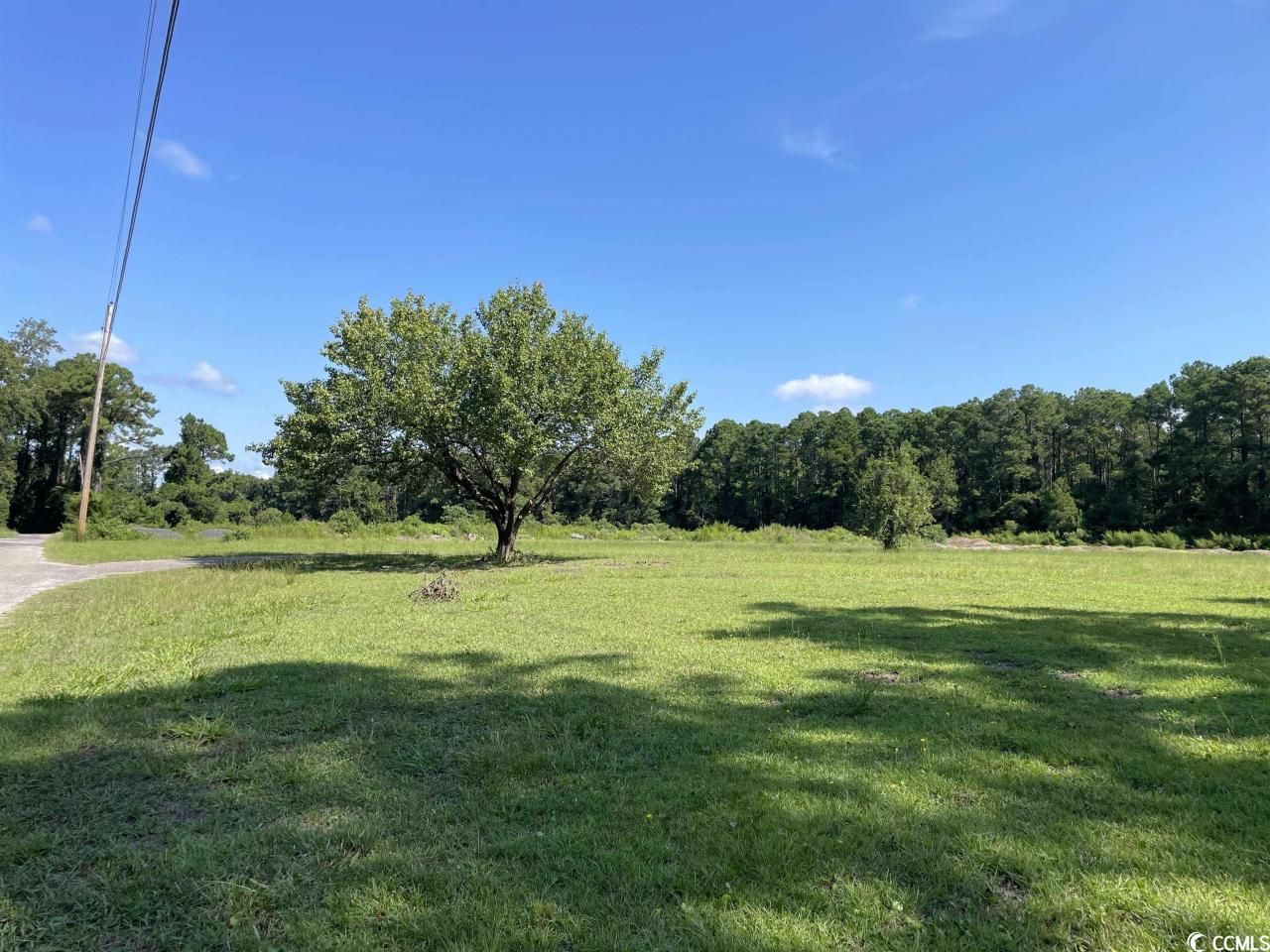 2801 Little River Neck Rd. Photo 6