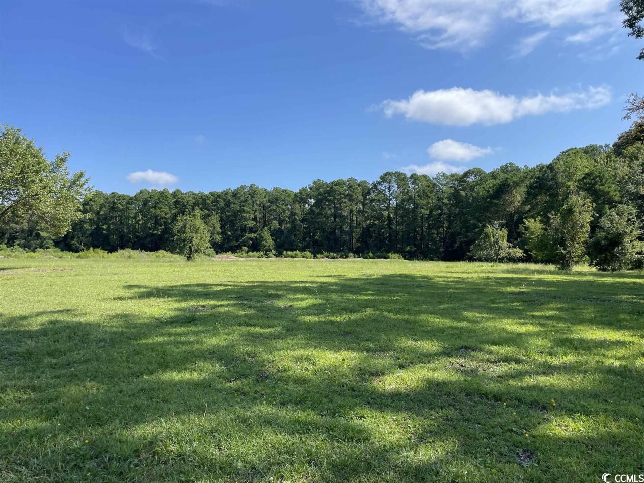 2801 Little River Neck Rd. Photo 7