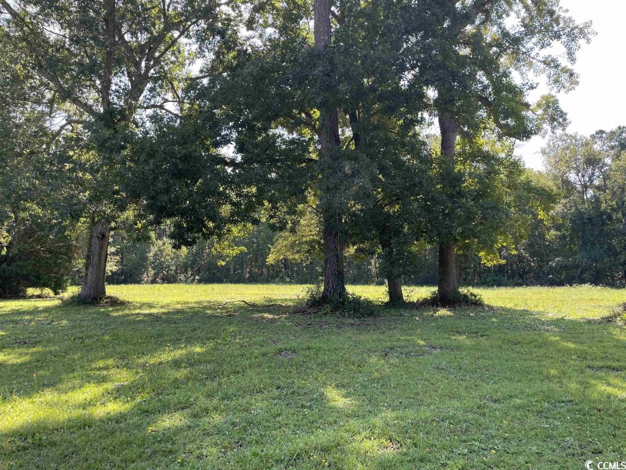 2801 Little River Neck Rd. Photo 8