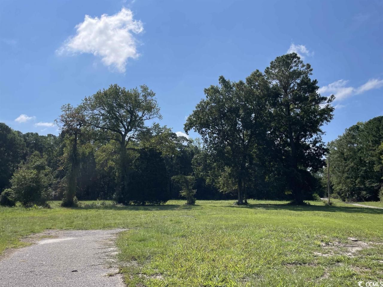 2801 Little River Neck Rd. Photo 9