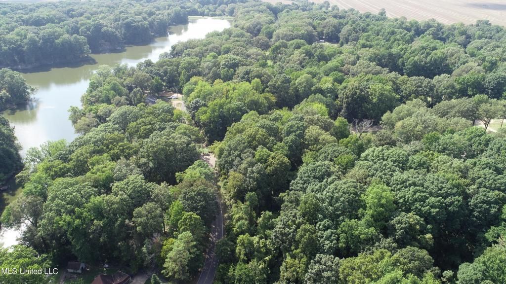 11015 Horseshoe Bend, Hernando, MS 38632 Main Photo