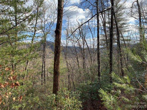 91 Laurel Thicket Lane, Brevard, NC 28712