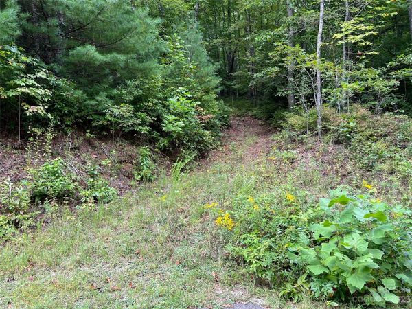 106 Green Hollow Lane, Brevard, NC 28712