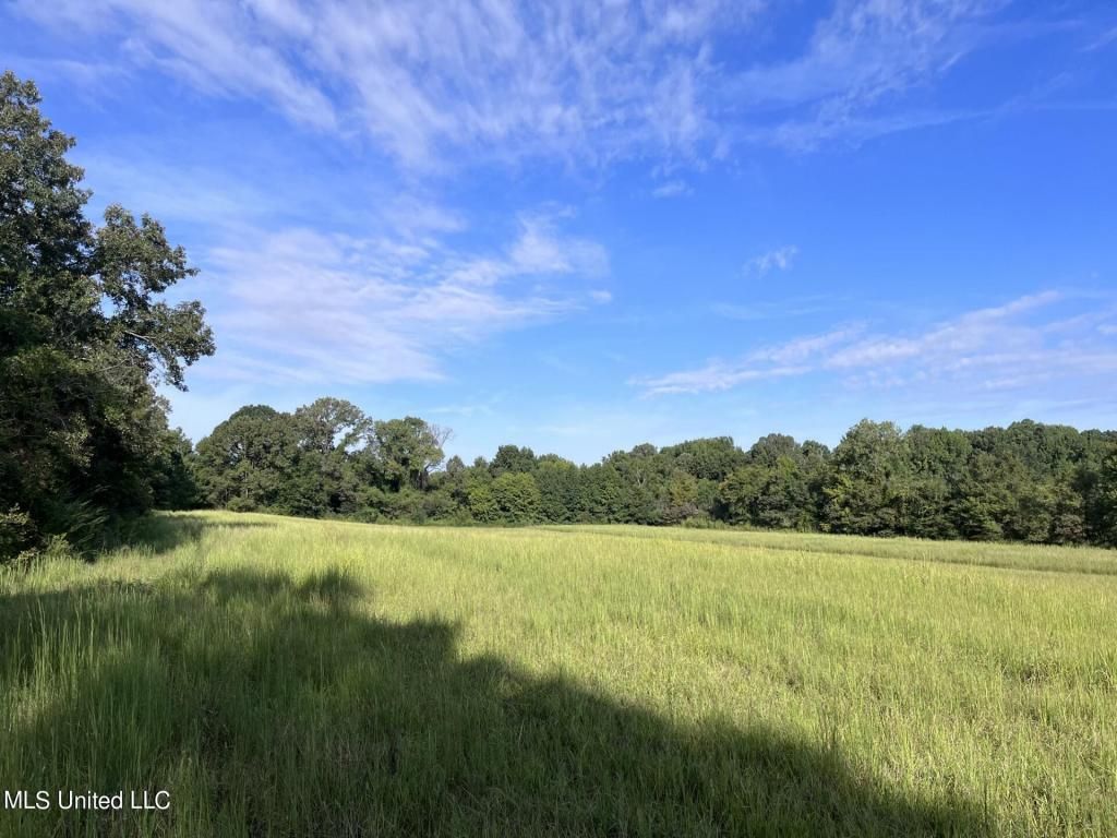 7 Dean Road, Lake Cormorant, MS 38641 Main Photo