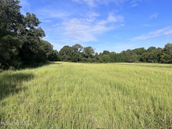 8 Dean Road, Lake Cormorant, MS 38641