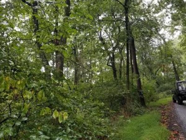Lot 094 FIRELINE RD, KINTNERSVILLE, PA 18930