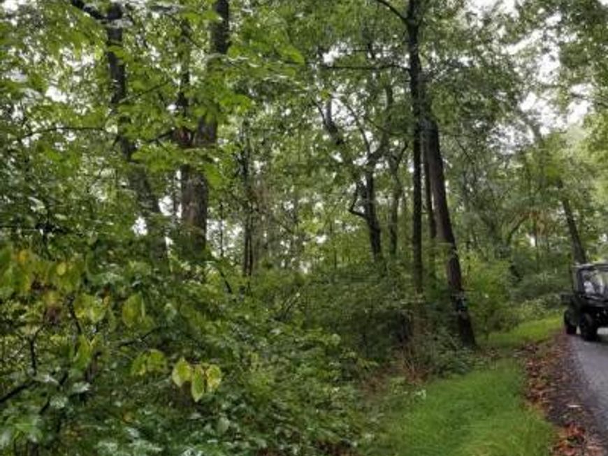 Lot 094 Fireline Rd, Kintnersville, PA 18930 Main Photo